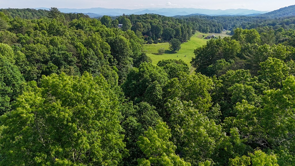 TBD Buck Ridge Dr #1C, MURPHY, North Carolina image 9