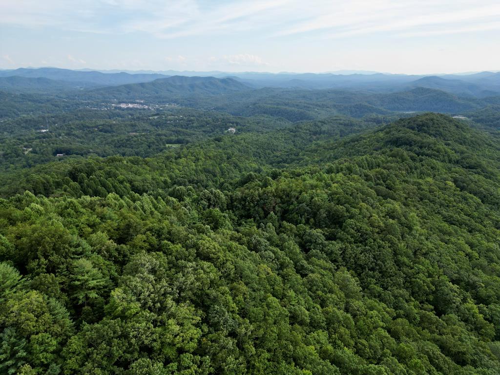 64.96 Ac Fain Peak, MURPHY, North Carolina image 1