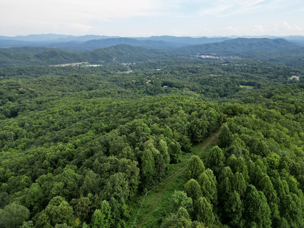 64.96 Ac Fain Peak, MURPHY, North Carolina image 4