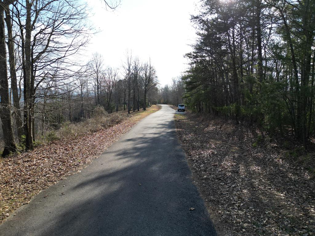 64.96 Ac Fain Peak, MURPHY, North Carolina image 5