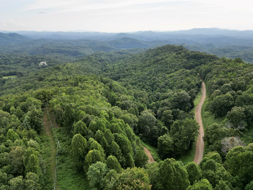 64.96 Ac Fain Peak, MURPHY, North Carolina image 2