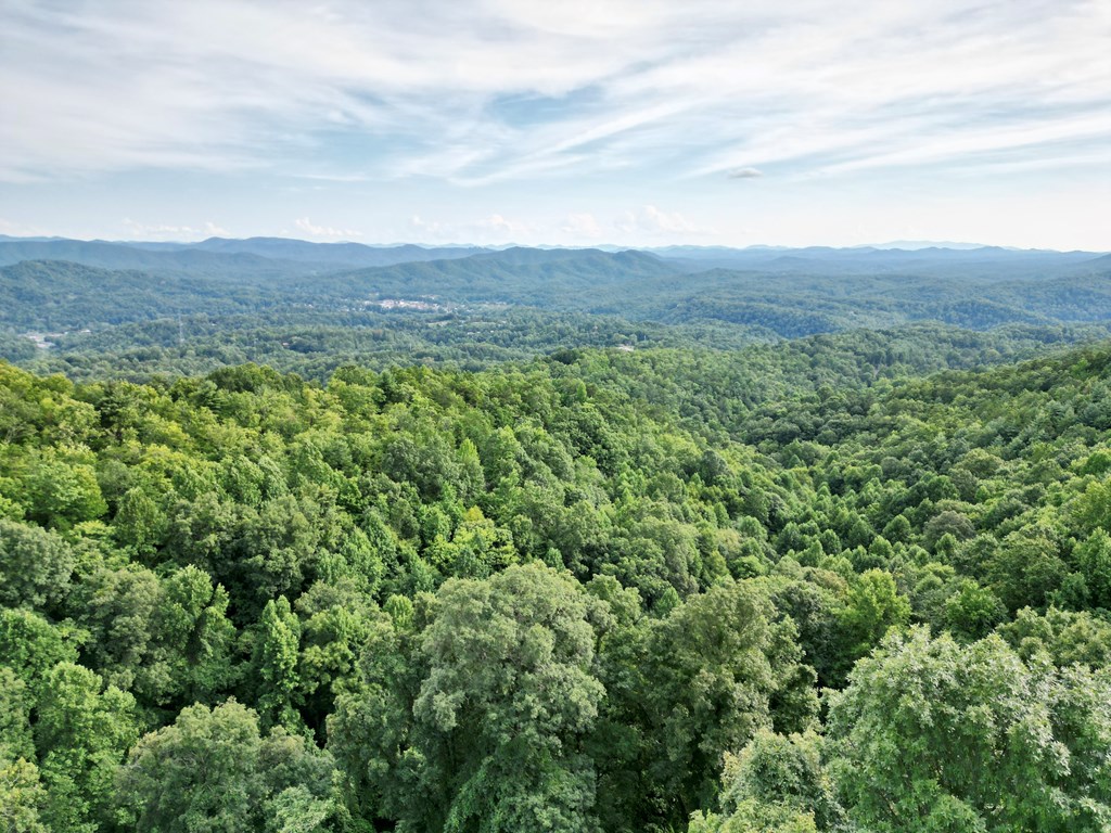 64.96 Ac Fain Peak, MURPHY, North Carolina image 3