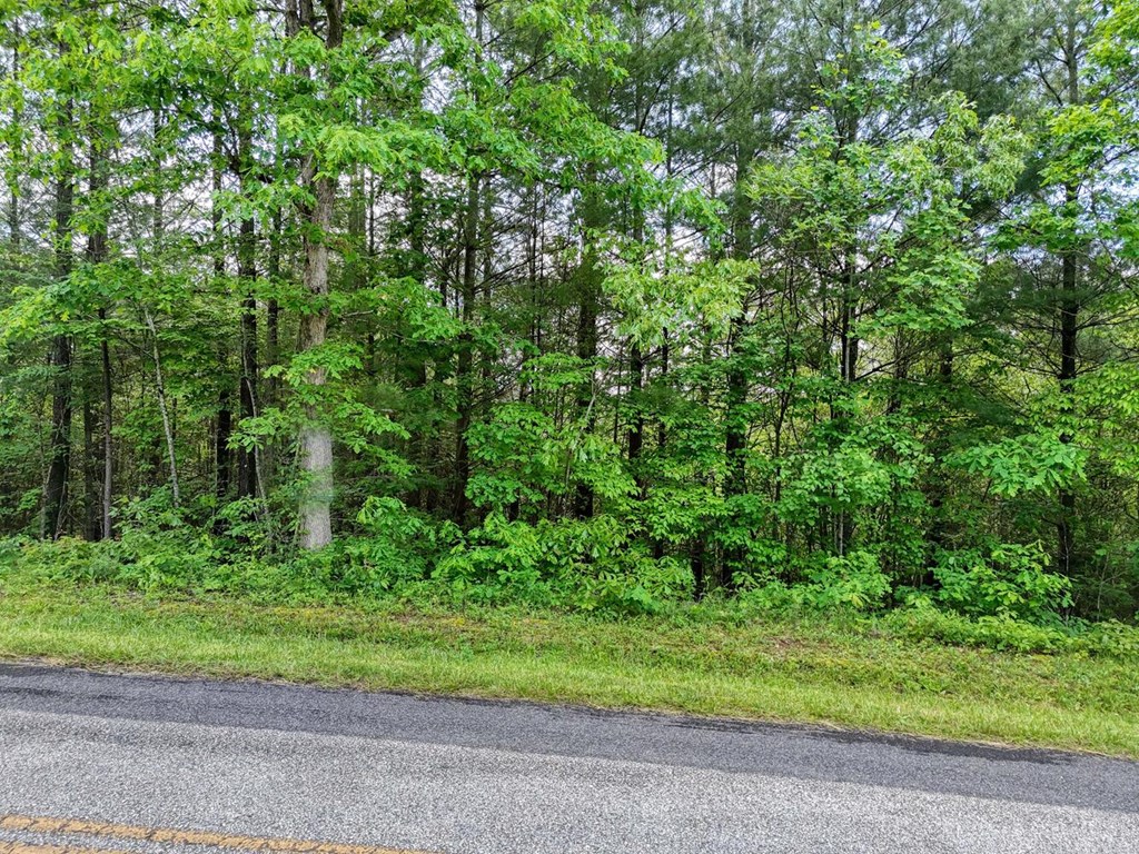 Lot A Hilltop Road #A, MURPHY, North Carolina image 9