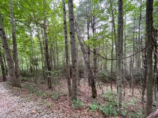 Lot 1 Summit View Drive #1, TOPTON, North Carolina image 4