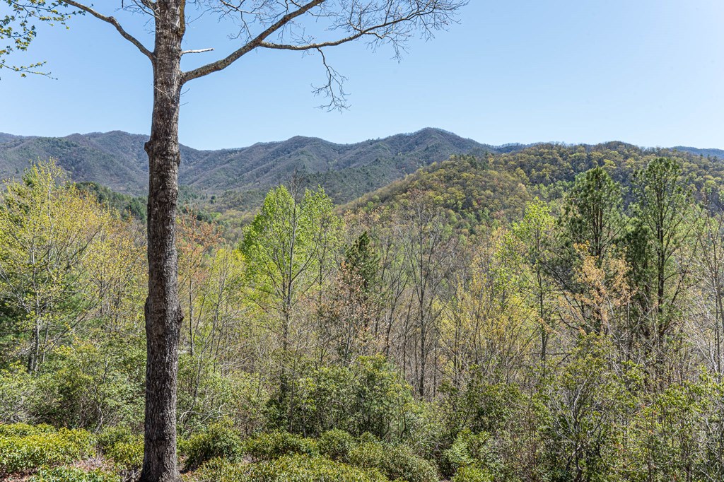 248 Hillside Lane, ANDREWS, North Carolina image 33