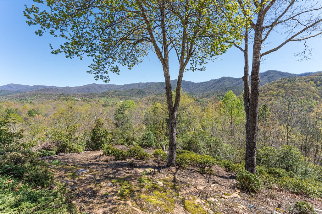 248 Hillside Lane, ANDREWS, North Carolina image 32
