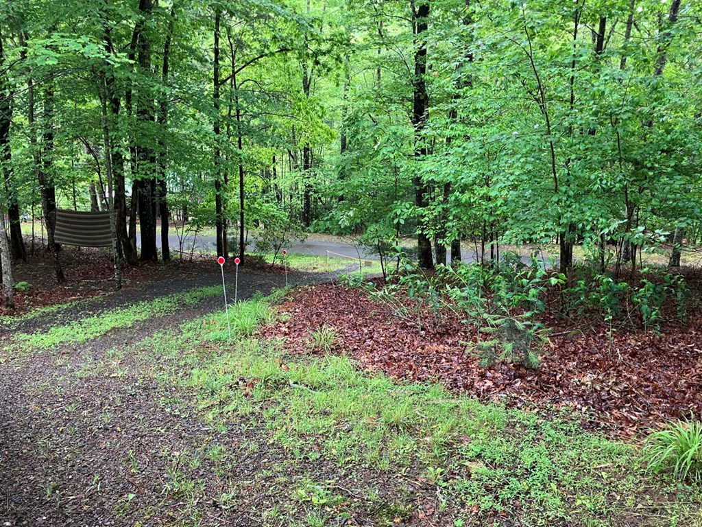 54 Bumblebee Ln, MURPHY, North Carolina image 21