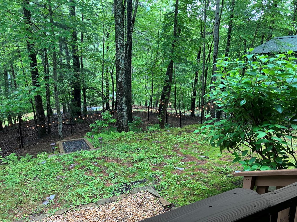 54 Bumblebee Ln, MURPHY, North Carolina image 28