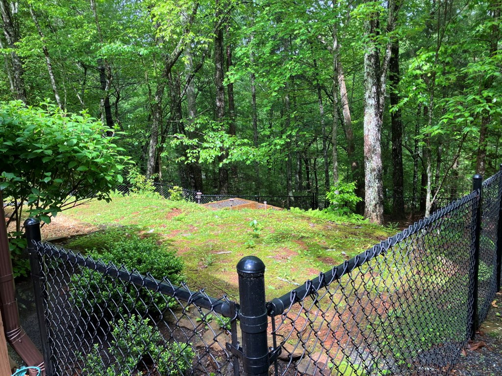 54 Bumblebee Ln, MURPHY, North Carolina image 19