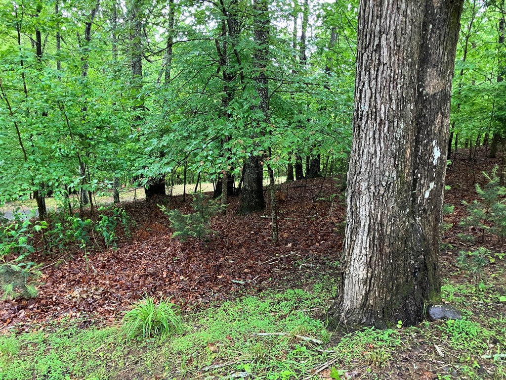 54 Bumblebee Ln, MURPHY, North Carolina image 20