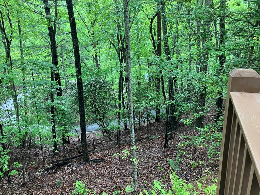 54 Bumblebee Ln, MURPHY, North Carolina image 24