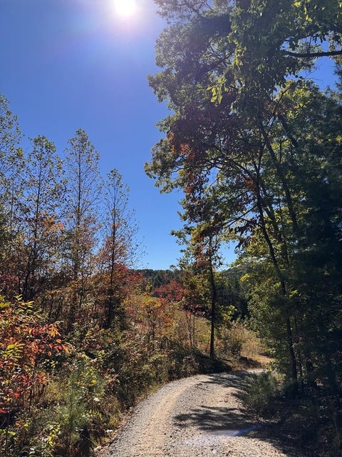 Vacant Land For Sale - 000 Highway 294<br/> MURPHY, NC 28906