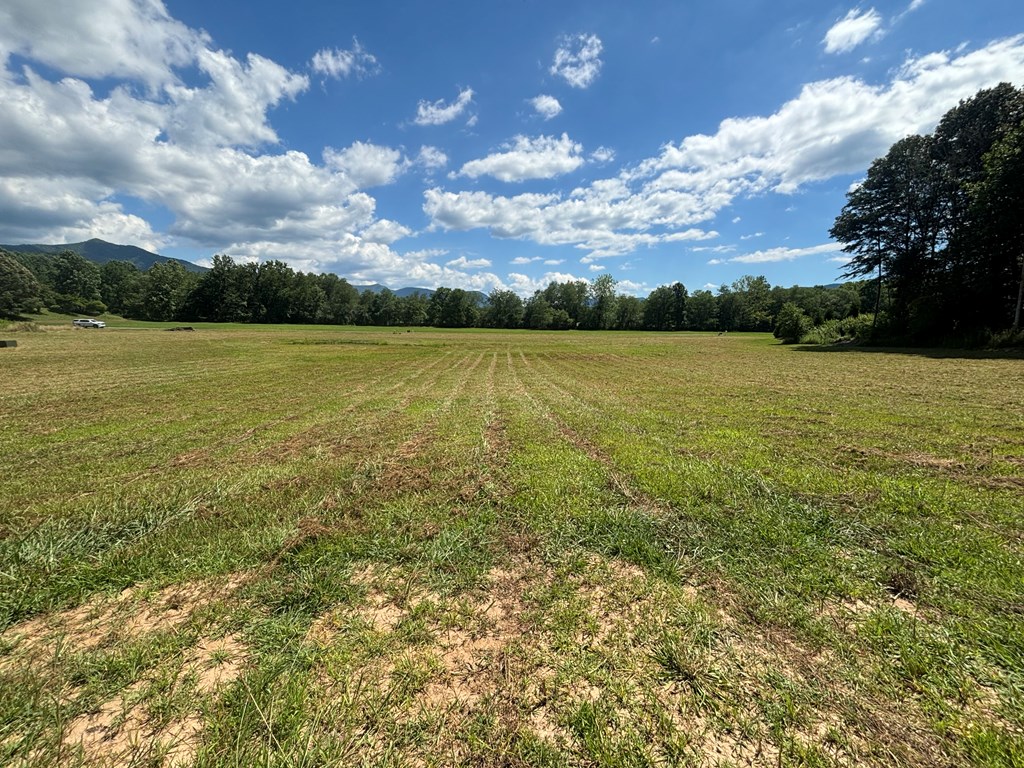 Lot 89 Willow Pond Road #8  9, YOUNG HARRIS, Georgia image 9