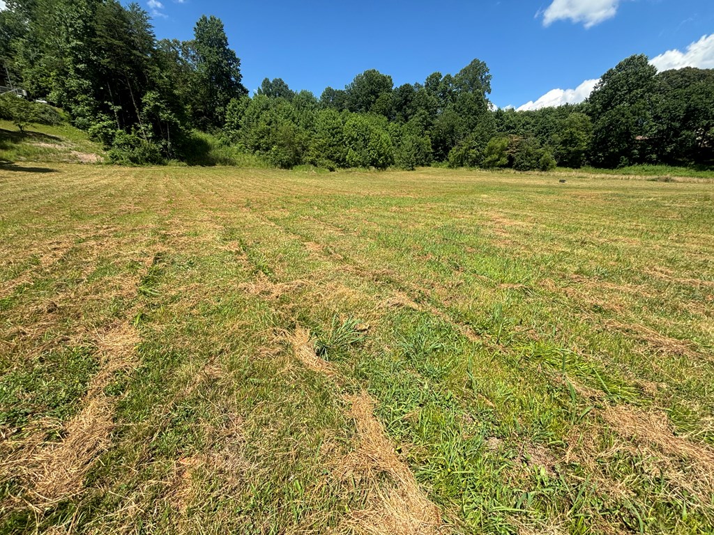 Lot 89 Willow Pond Road #8  9, YOUNG HARRIS, Georgia image 3