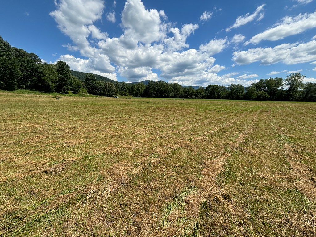 Lot 89 Willow Pond Road #8  9, YOUNG HARRIS, Georgia image 7