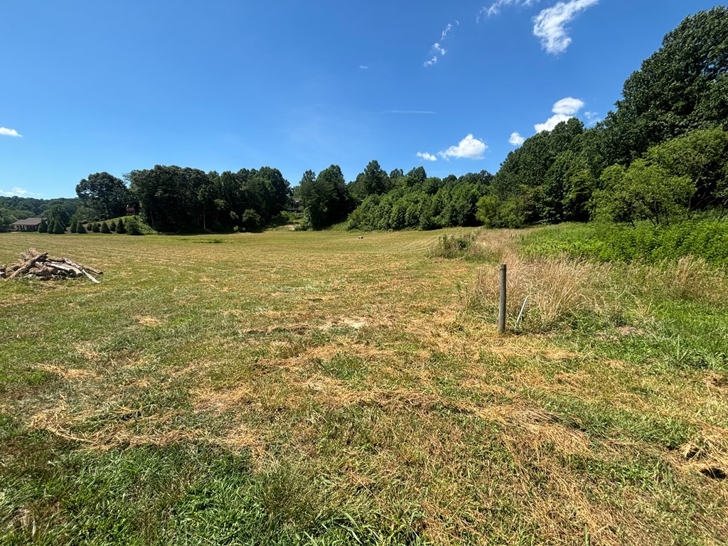 Lot 89 Willow Pond Road #8  9, YOUNG HARRIS, Georgia image 20