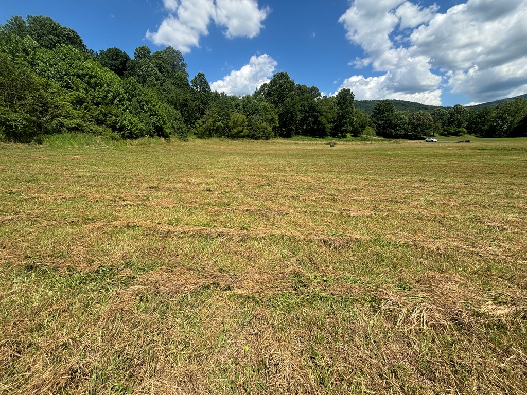 Lot 89 Willow Pond Road #8  9, YOUNG HARRIS, Georgia image 5