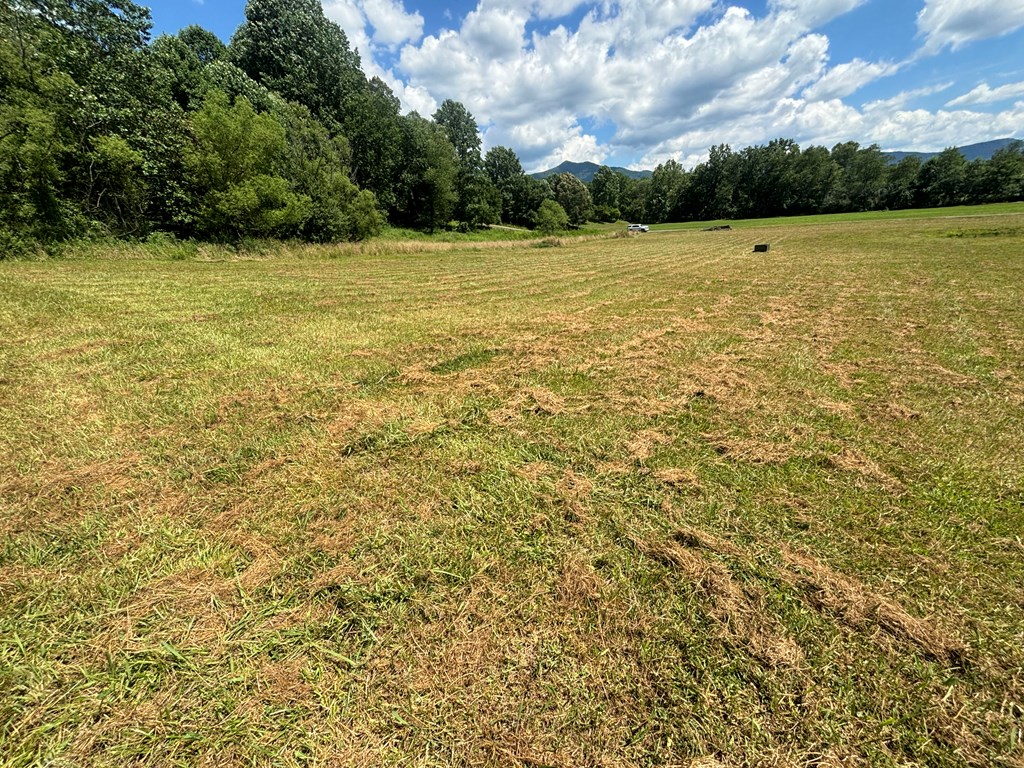 Lot 89 Willow Pond Road #8  9, YOUNG HARRIS, Georgia image 10