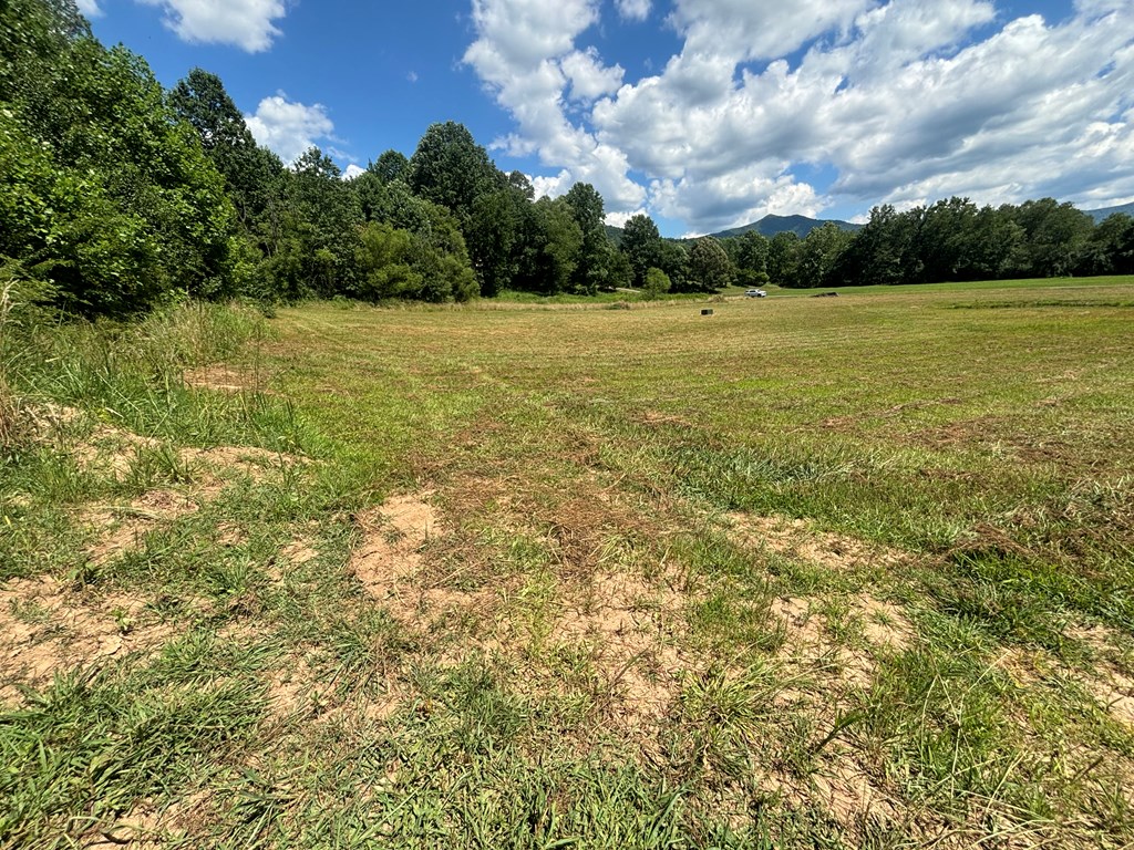 Lot 89 Willow Pond Road #8  9, YOUNG HARRIS, Georgia image 8