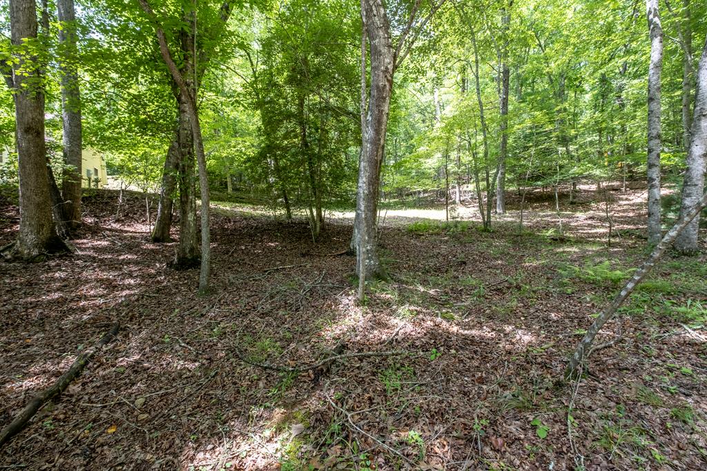 92 Blissful Ridge, MURPHY, Texas image 23