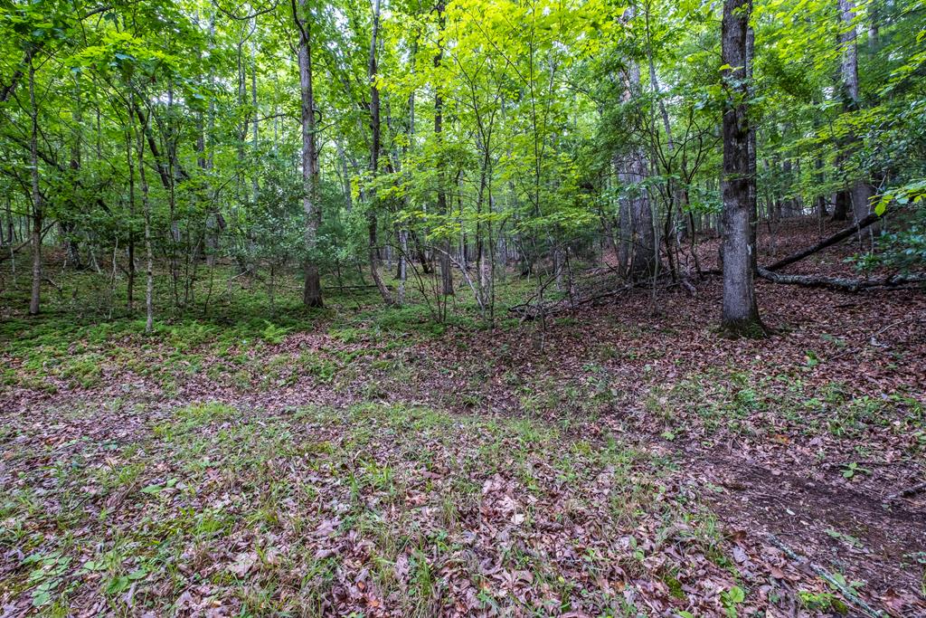 92 Blissful Ridge, MURPHY, Texas image 24