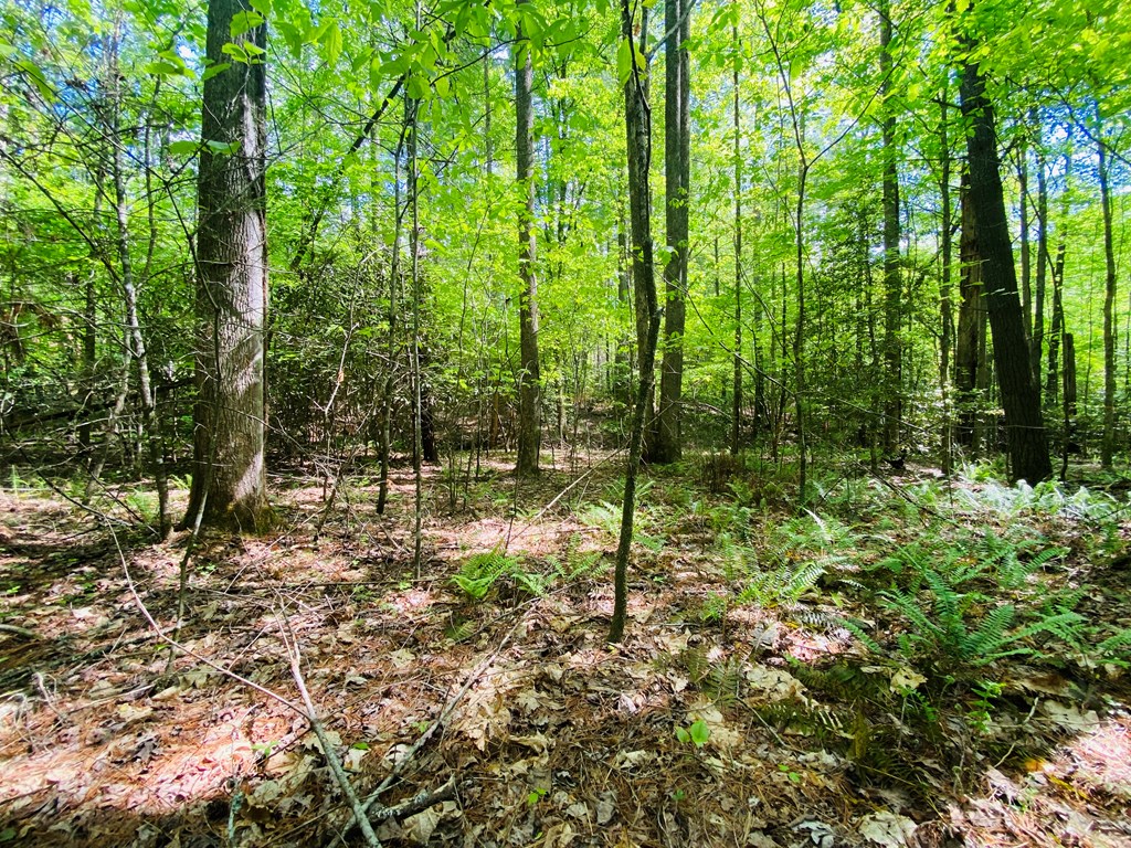 Lot 17 Atoah Loop #17, MURPHY, North Carolina image 13