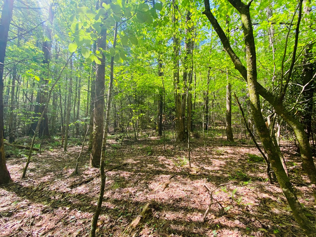 Lot 17 Atoah Loop #17, MURPHY, North Carolina image 7