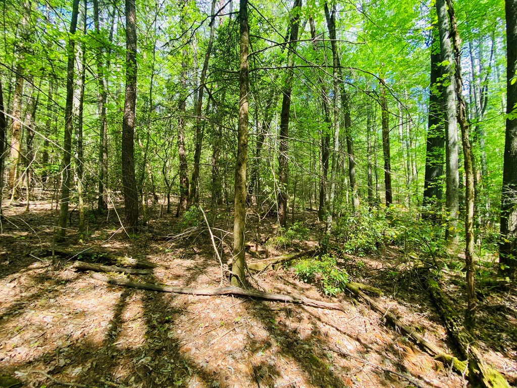 Lot 17 Atoah Loop #17, MURPHY, North Carolina image 10