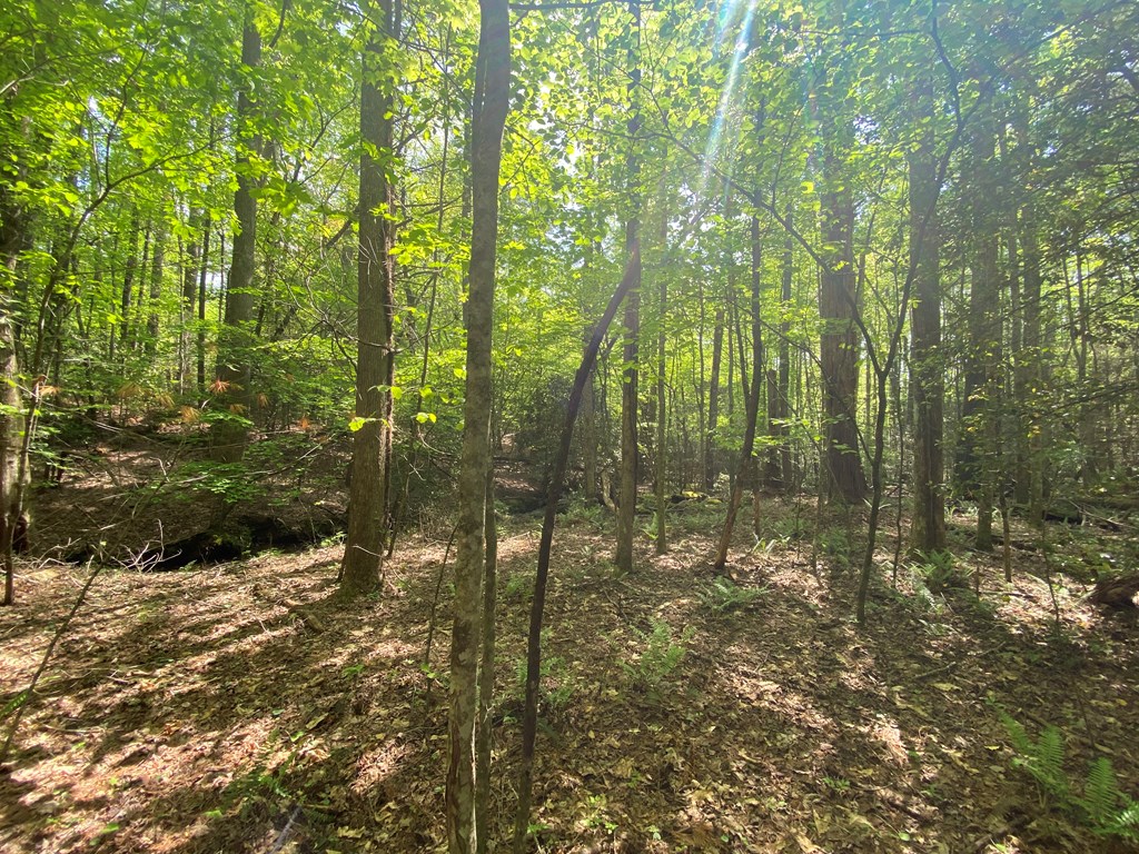 Lot 17 Atoah Loop #17, MURPHY, North Carolina image 14