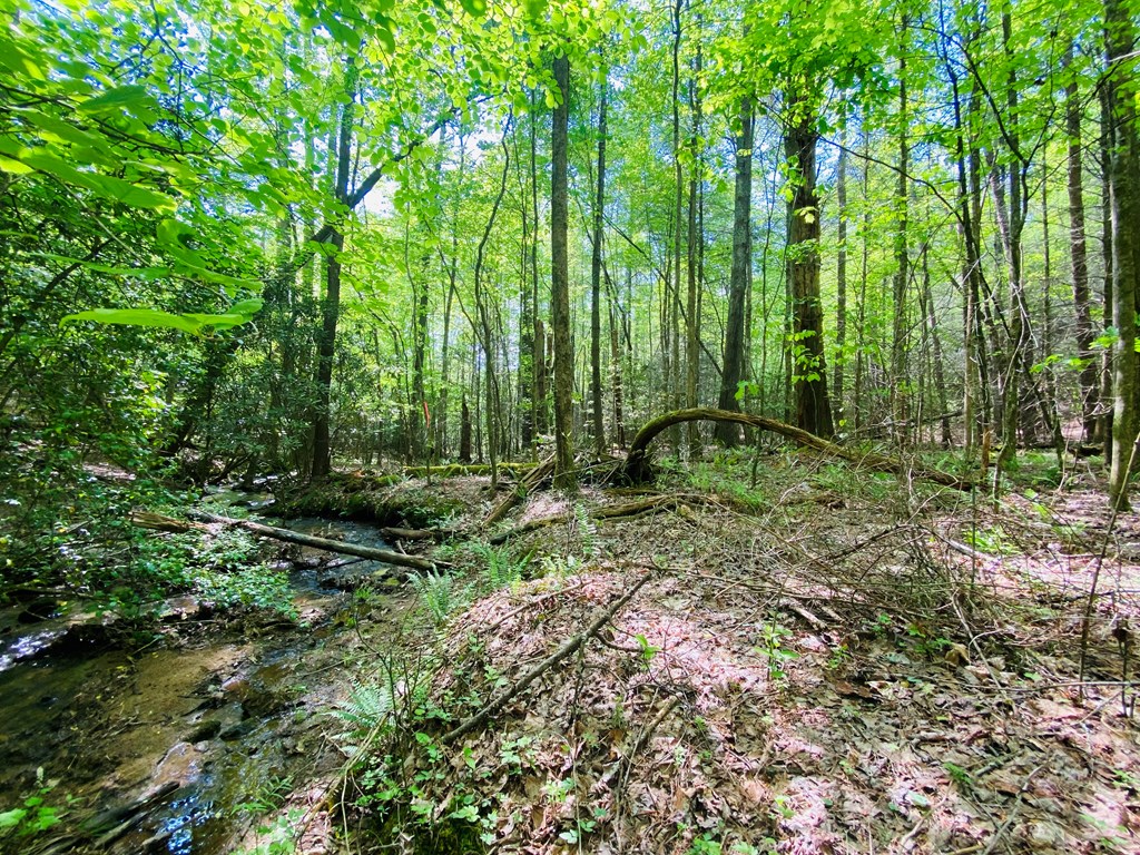 Lot 17 Atoah Loop #17, MURPHY, North Carolina image 6