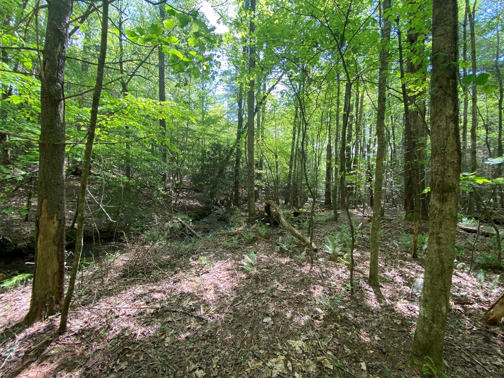 Lot 17 Atoah Loop #17, MURPHY, North Carolina image 16