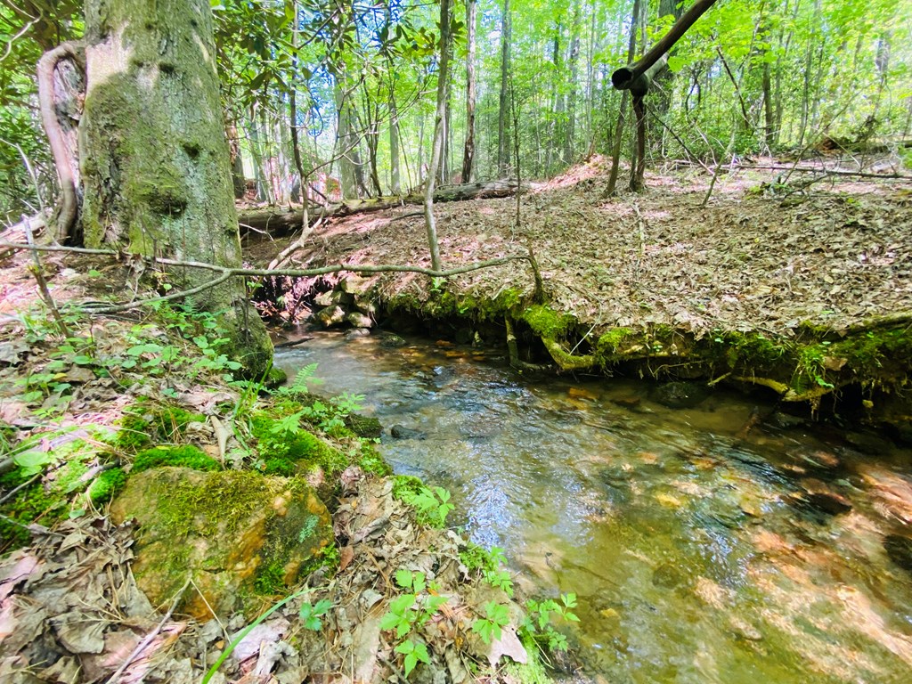 Lot 17 Atoah Loop #17, MURPHY, North Carolina image 4