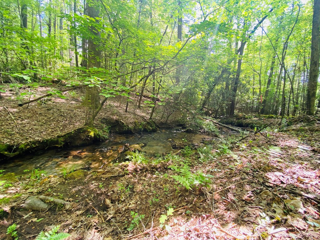 Lot 17 Atoah Loop #17, MURPHY, North Carolina image 3