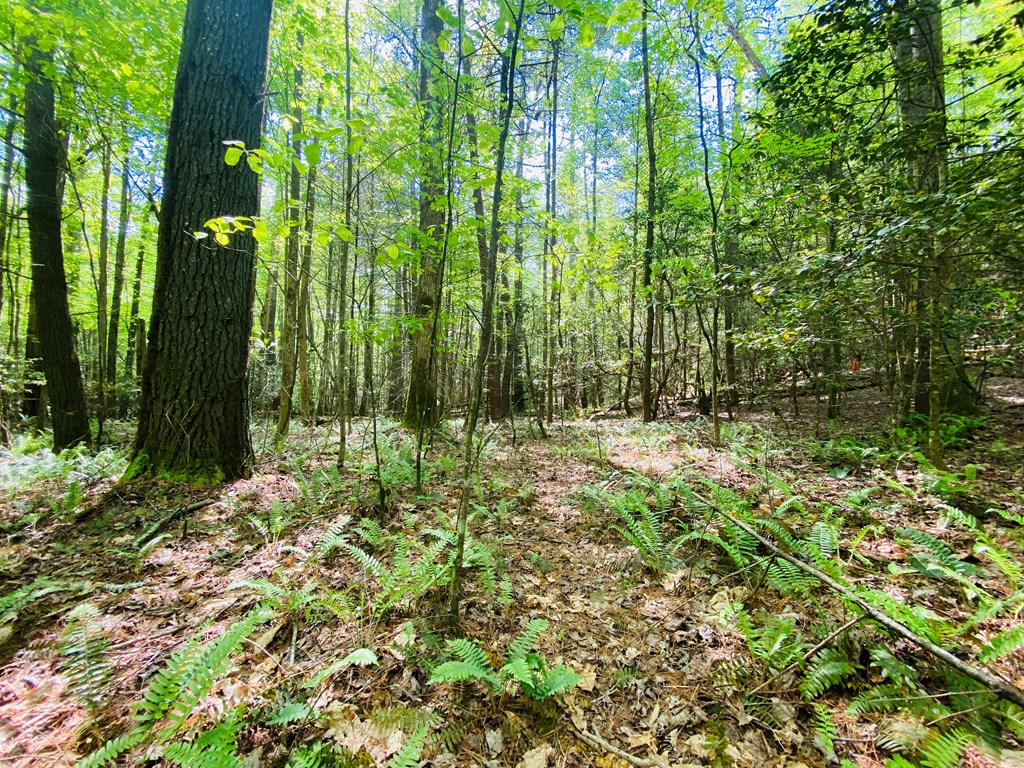Lot 17 Atoah Loop #17, MURPHY, North Carolina image 2