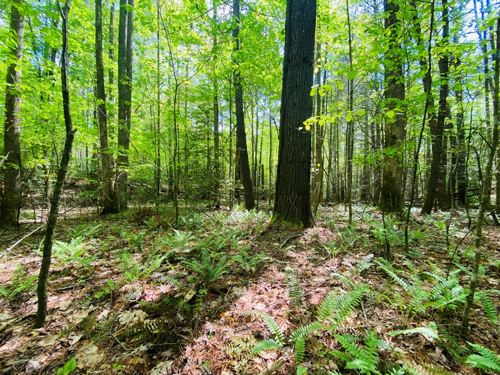 Lot 17 Atoah Loop #17, MURPHY, North Carolina image 9