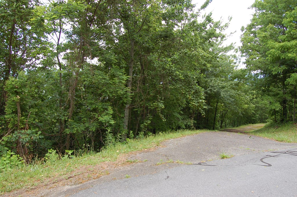 54B Eagles View #54B, HAYESVILLE, North Carolina image 8