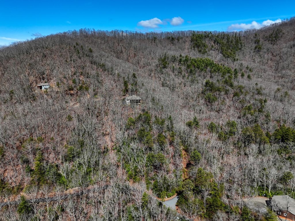 00 Mission Ridge Court #24, HAYESVILLE, North Carolina image 13