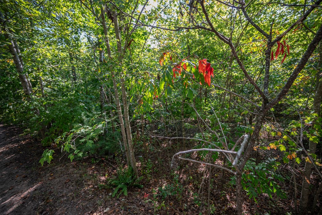 Lot 51 Posey Place #51, MURPHY, North Carolina image 8