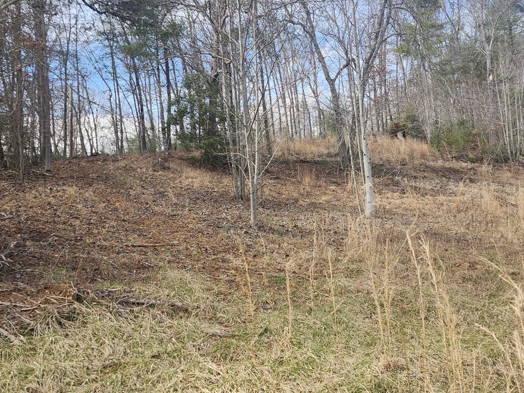 31.53 Ac Barnett Road, MURPHY, North Carolina image 23