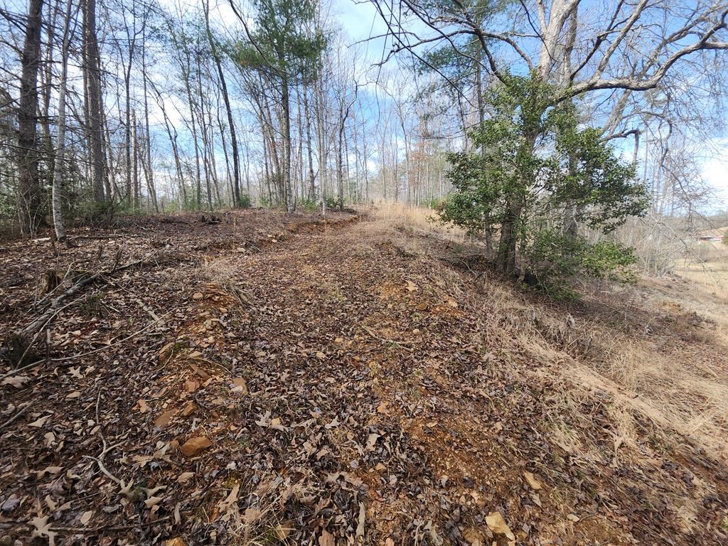 31.53 Ac Barnett Road, MURPHY, North Carolina image 5