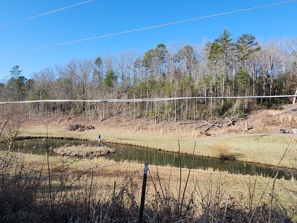 31.53 Ac Barnett Road, MURPHY, North Carolina image 17