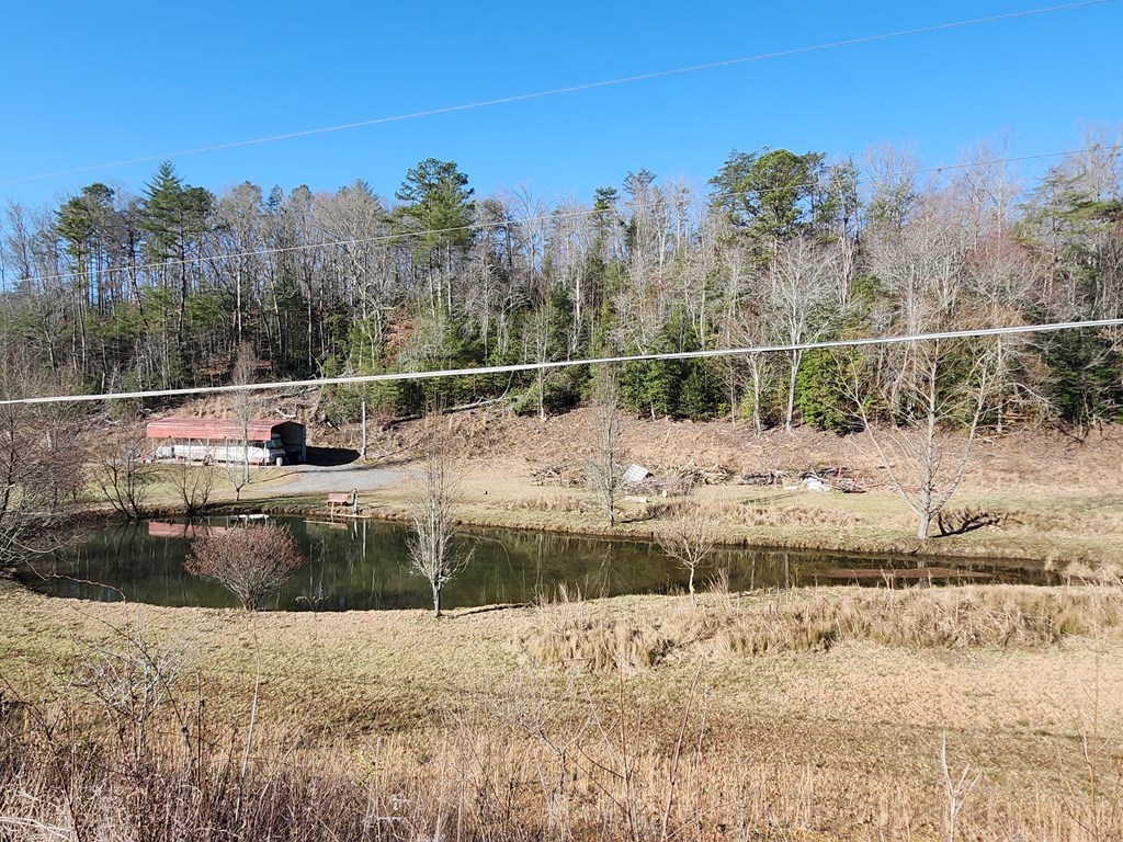31.53 Ac Barnett Road, MURPHY, North Carolina image 11