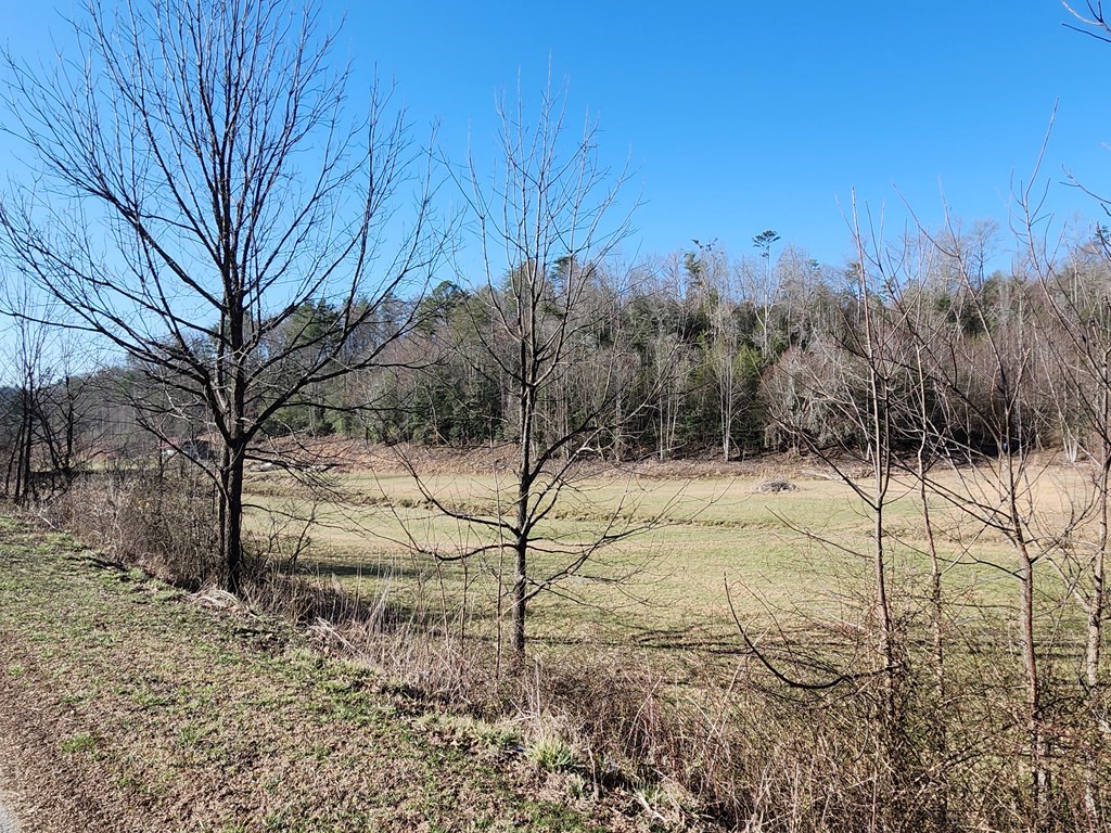 31.53 Ac Barnett Road, MURPHY, North Carolina image 13