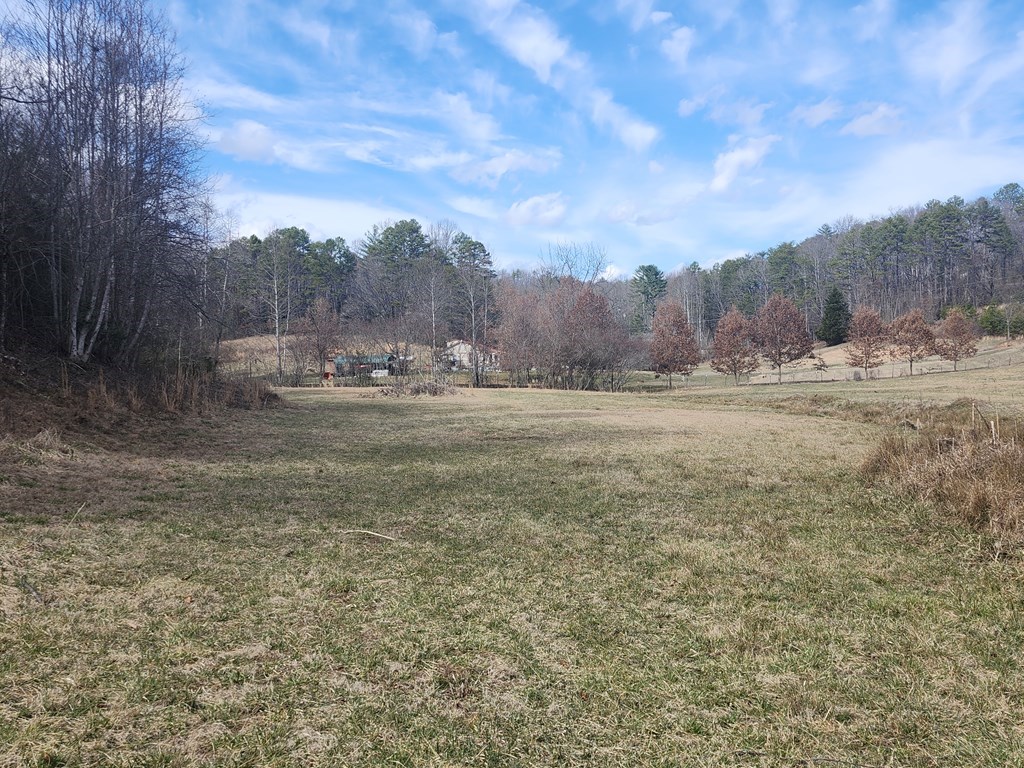 31.53 Ac Barnett Road, MURPHY, North Carolina image 22