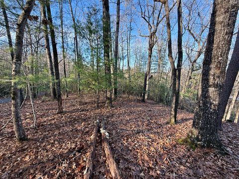 Vacant Land For Sale - LOT 42 Panico Trail #42<br/> MURPHY, NC 28906