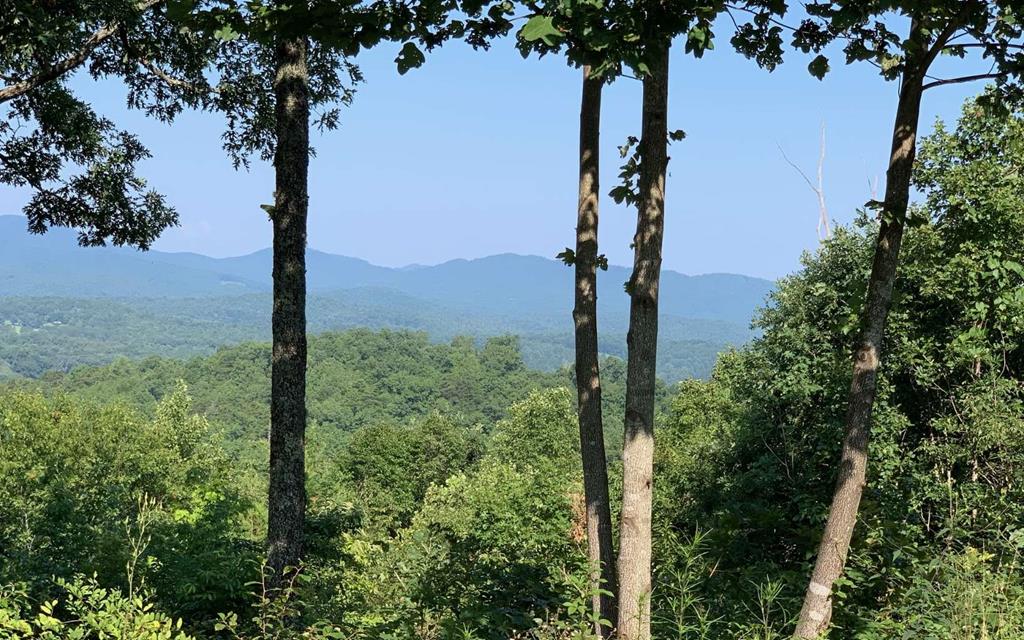 Lot 7 White Oak Drive #7, HAYESVILLE, North Carolina image 1
