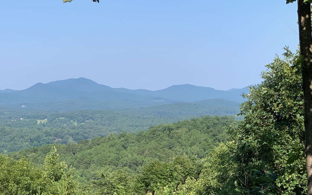 Lot 7 White Oak Drive #7, HAYESVILLE, North Carolina image 8
