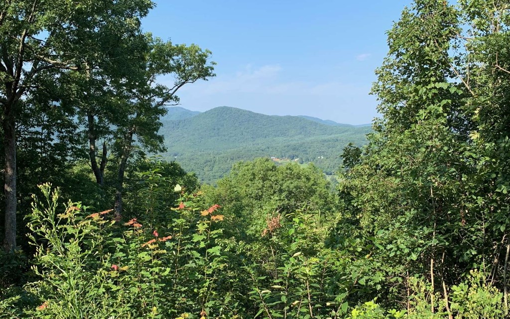 Lot 7 White Oak Drive #7, HAYESVILLE, North Carolina image 3