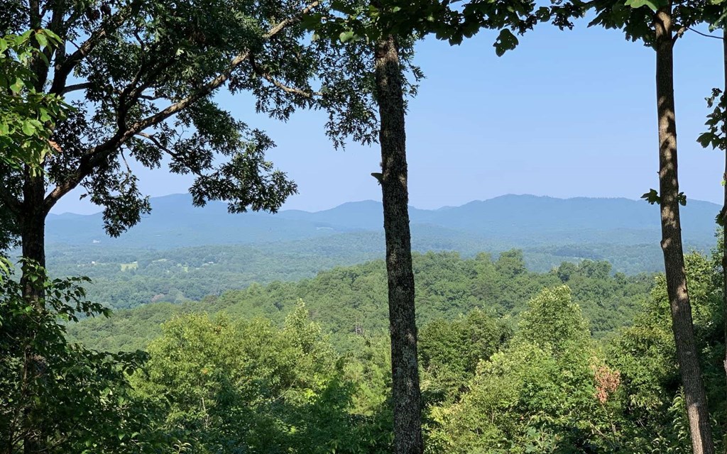 Lot 7 White Oak Drive #7, HAYESVILLE, North Carolina image 13
