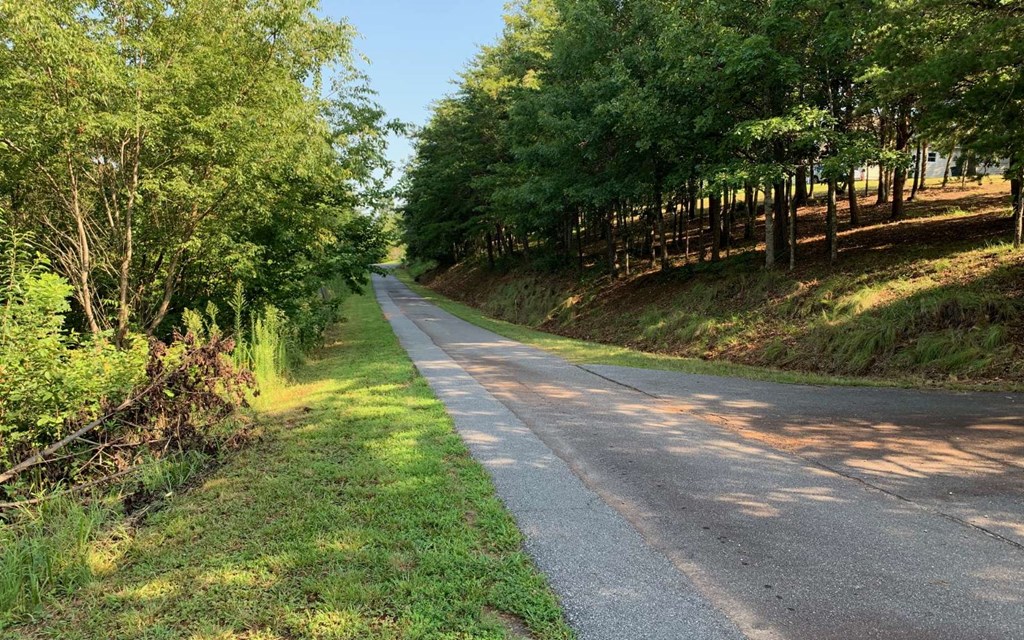 Lot 7 White Oak Drive #7, HAYESVILLE, North Carolina image 11